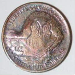 F.A.O. 1980 YILI 5 KURUŞ Bronz Hatıra Parası