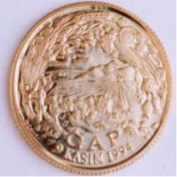 G.A.P Altın Hatıra Parası