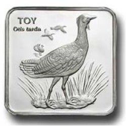 Toy Gümüş Hatıra Parası