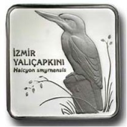 YalıÇapkını Gümüş Hatıra Parası