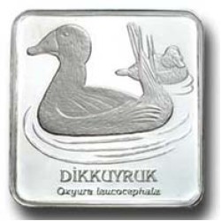 Dikkuyruk Gümüş Hatıra Parası
