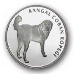 Sivas Kangal Gümüş Hatıra Parası