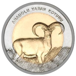 Anadolu Yaban Koyunu Bimetal Hatıra Parası