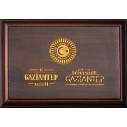 Gaziantep Gazilik Ünvanının 100.Yılı Hatıra Para Seti 