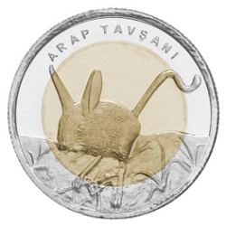 Arap Tavşanı Bimetal Hatıra Parası