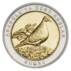 Kumru Kuşu Hatıra Parası B