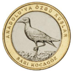 Sarı Kocagöz Kuşu Hatıra Parası A