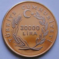 Uluslararası Sakatlar YILI Altın Hatıra Parası