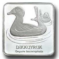 Dikkuyruk Gümüş Hatıra Parası