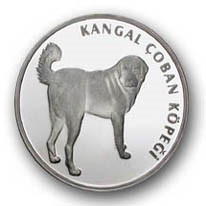 Sivas Kangal Gümüş Hatıra Parası