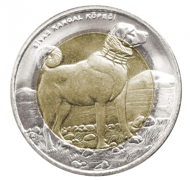 Sivas Kangal Köpeği Bimetal Hatıra Parası