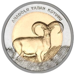 Anadolu-Yaban-Koyunu-Hatira-Parasi-01