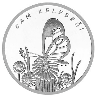 Cam-Kelebegi-Hatira-Parasi-01