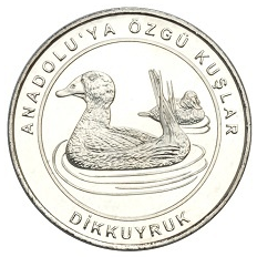 Dik-Kuyruk-Hatira-Parasi-01