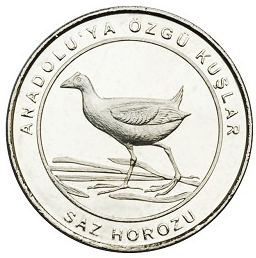 Saz-Horozu-Hatira-Parasi-01