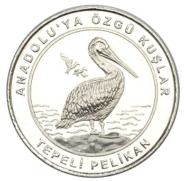 Tepeli-Pelikan-Hatira-Parasi-01