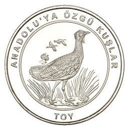 Toy-Hatira-Parasi-01