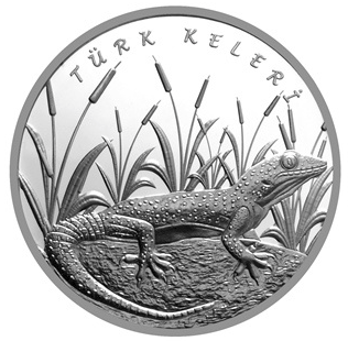 Turk-Keleri-Hatira-Parasi-01