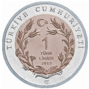 ankara-kedisi-bimetal-hatira-parasi-01