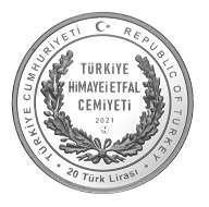 Çocuk Esirgeme Kurumu 100.Yılı Gümüş Hatıra Parası