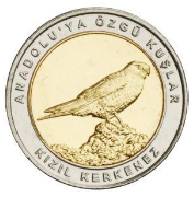 Kızıl Kerkenez Kuşu Hatıra Parası B
