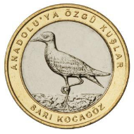 Sarı Kocagöz Kuşu Hatıra Parası A