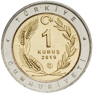 Sarı Kocagöz Kuşu Hatıra Parası B
