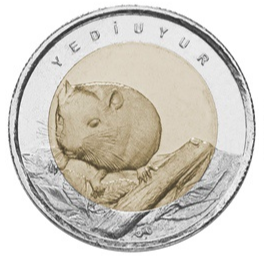 yedi-uyur-hatira-parasi-01